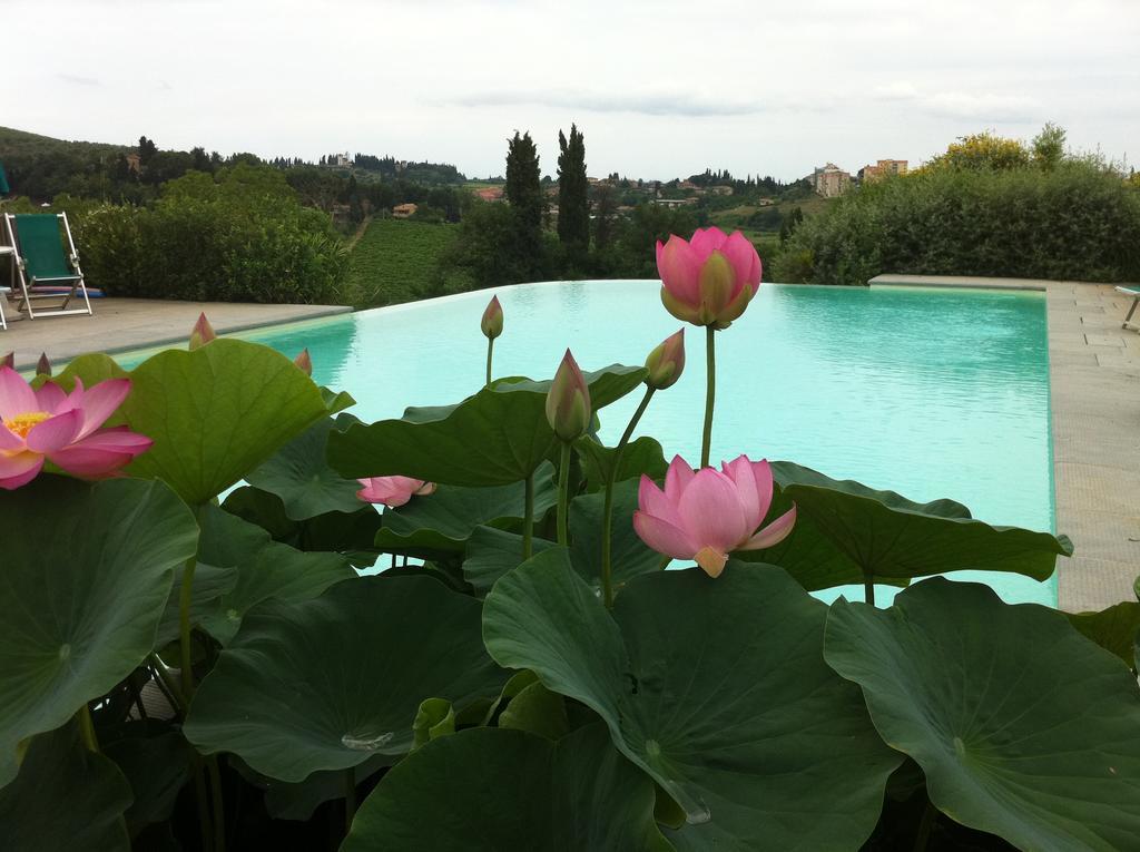 Agriturismo Raccianello San Gimignano Extérieur photo